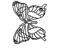 Butterfly Coloring Page 009