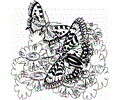 Butterfly Coloring Page 010