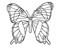 Butterfly Coloring Page 012