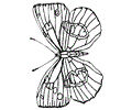 Butterfly Coloring Page 013