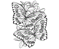 Butterfly Coloring Page 016
