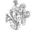 Butterfly Coloring Page 017