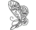 Butterfly Coloring Page 019