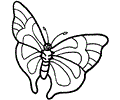 Butterfly Coloring Page 020