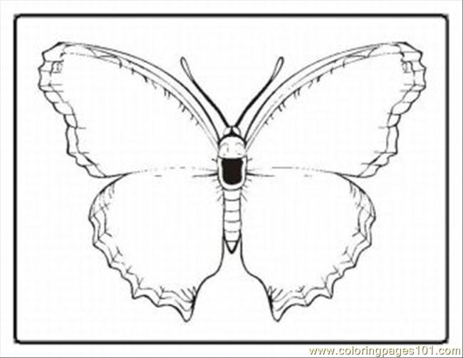 Symmetrical Butterfly Coloring Pages Coloring Pages