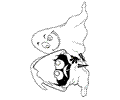 Calimero03