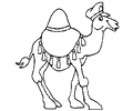 Camel (5)