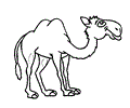 Camel Coloring Page 001