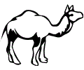 Camel Coloring Page 005