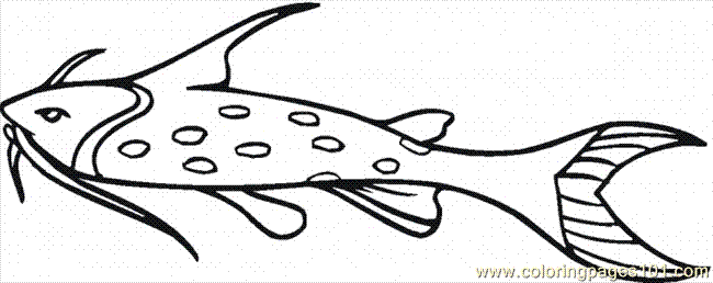 Coloring Pages Catfish 13 (Fish > Catfish) - free printable coloring