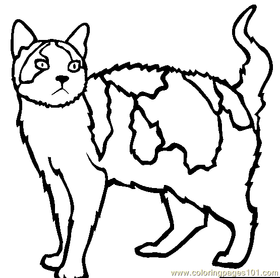 uk wildcat coloring pages - photo #50