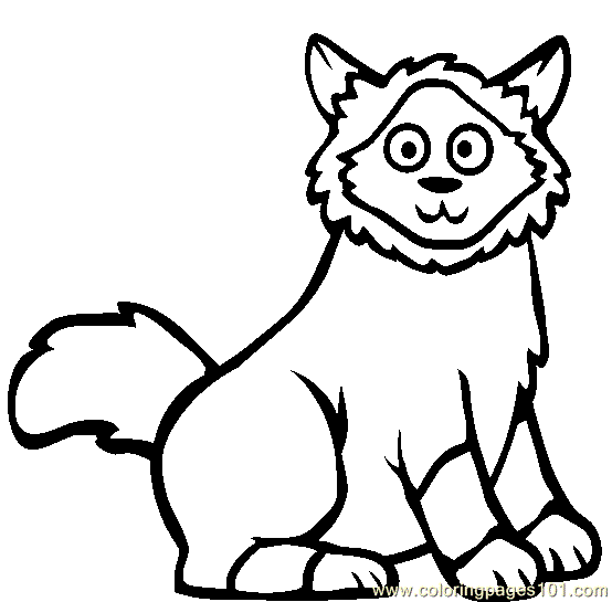 maine coon coloring pages-#19