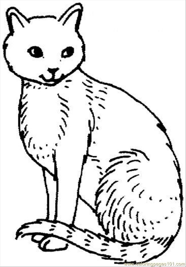 k state wildcat coloring pages - photo #14