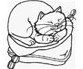 62 Ee Coloring Pages Cats 43 Med