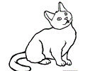 Chartreux