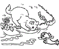 Cat Coloring 24