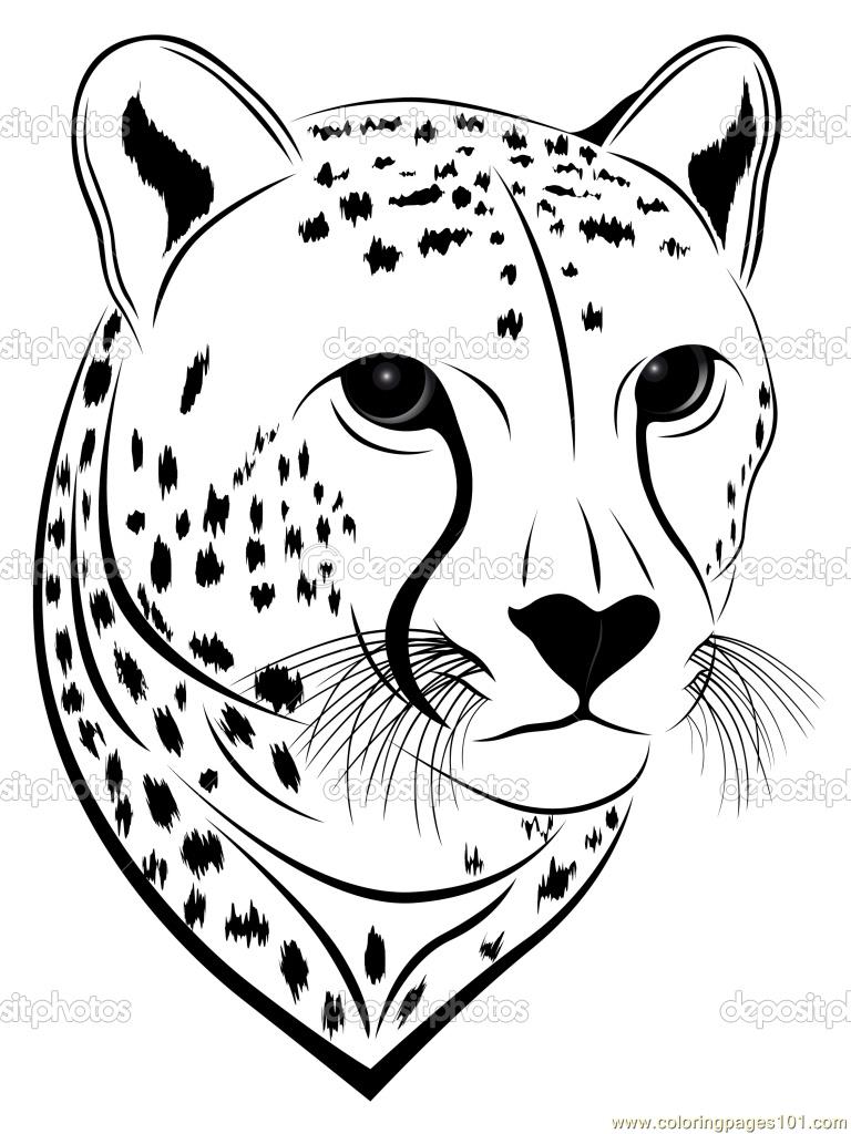 Cheetah face coloring page Free Printable Coloring Pages