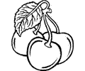 Fruit02