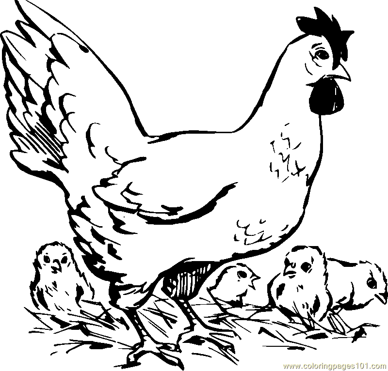 Coloring Pages Hen Mother day (Birds > Chicks, Hens and Roosters ...