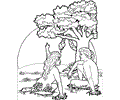 Adam And Eve With The Apple Coloring Pages 7 Com