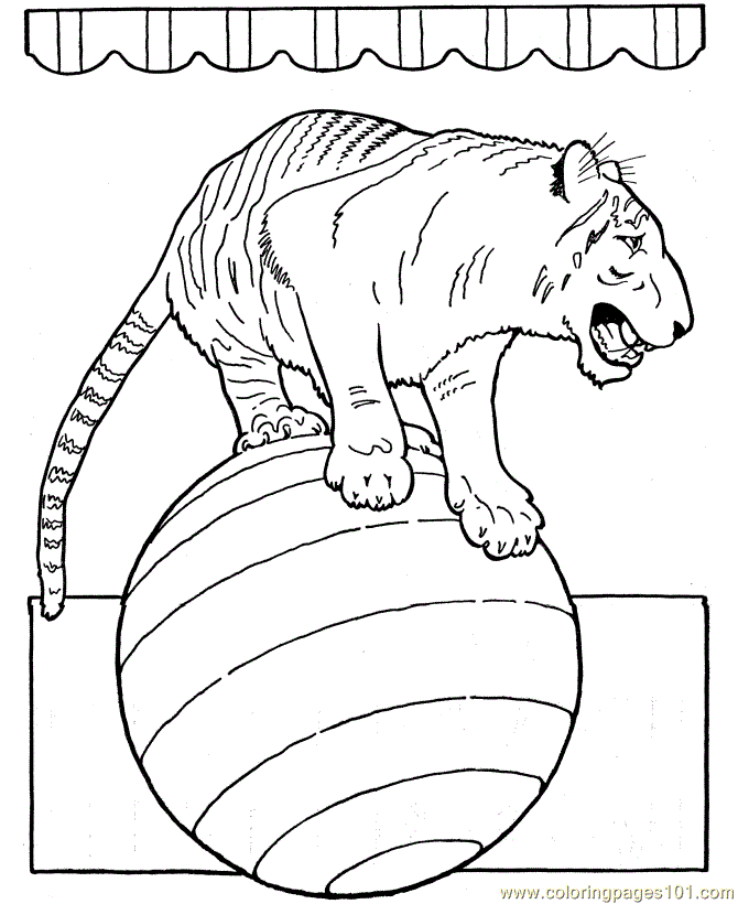 coloring-pages-circus-tiger-animals-circus-animals-free-printable