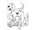 Perrito Clifford  5