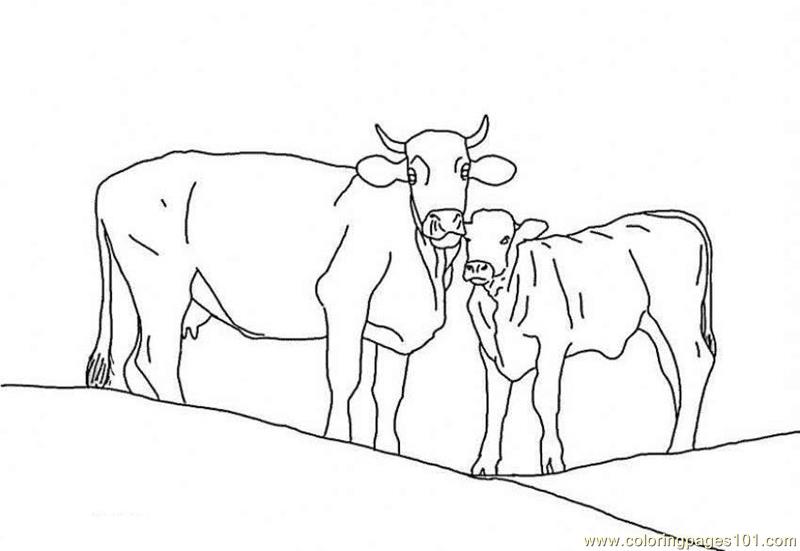 calves coloring pages - photo #16
