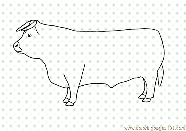 free printable coloring image Cows Bulls Free2
