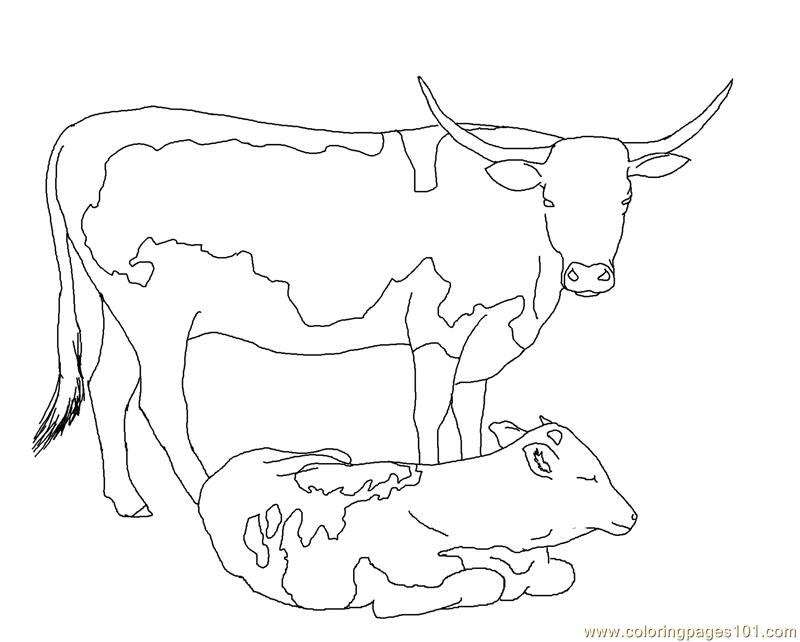 calves coloring pages - photo #20
