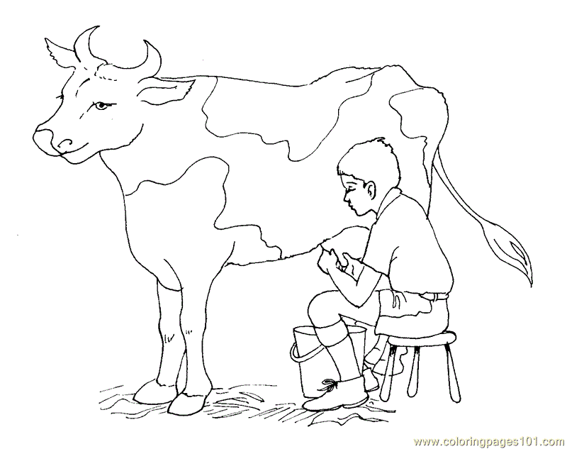 Milk cow coloring page - Free Printable Coloring Pages