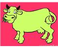 Cow Big 4
