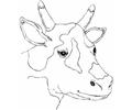 Spotty Cow Head