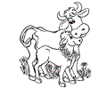 Cow Coloring Page 04