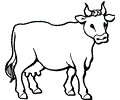 Cow Coloring Page 07
