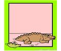 Crocodile