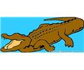 Crocodile Aligator Coloring Page 08