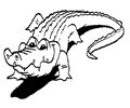 Crocodile