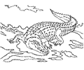 Krokodil02