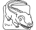 Krokodil04