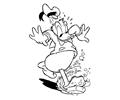 Duck 001