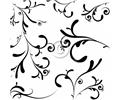 Tion Black Stock Photo A