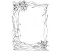 Wild Nature Frame