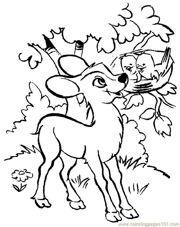 Coloring Pages Baby Deers (Animals > Deer) free printable coloring