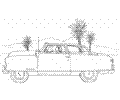 Lady Is Driving In A Desert