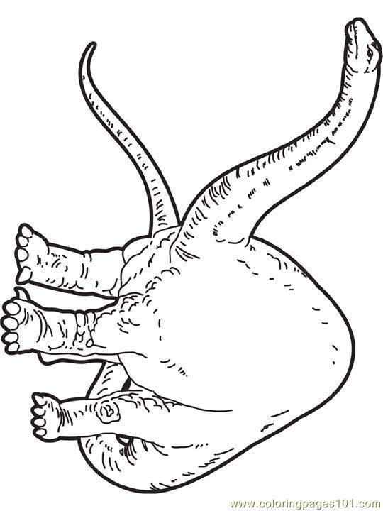 Coloring Pages Apatosaurus (Animals > Dinosaur) - free printable