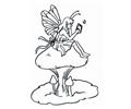 Fairy 2lrg