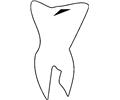 Tooth 06