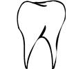 Tooth 07