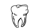 Tooth 11