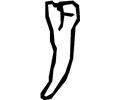 Tooth 15